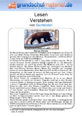 Kleiner Panda.pdf